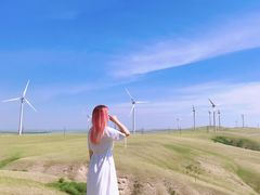 -186彩带河