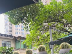 -树厨贵州菜(铜仁花果山店)