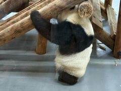 -无锡动物园·太湖欢乐园