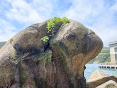 -东澳岛