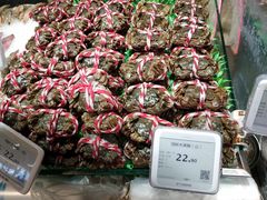 -超级物种·波龙工坊(国贸店)