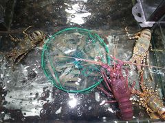 -旺角餐厅(潮州大道店)