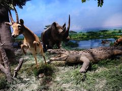 -国家自然博物馆