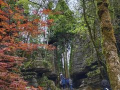 -梭布垭石林景区