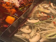 -朱光玉火锅馆(正弘城店)