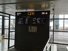 -上海浦东国际机场-T2航站楼