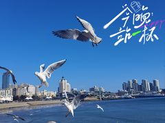 -五四广场