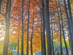 -白塘生态植物园