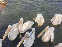 -沈阳森林动物园