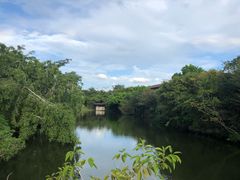 -绿光森林餐厅