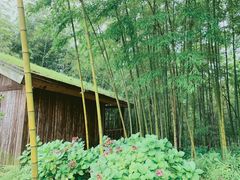 -重庆雨台山风景区