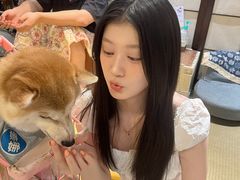 -逗柴咖啡屋·狗咖猫咖宠物桌游