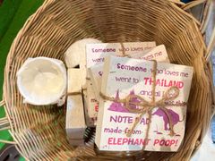 -大象粑粑造纸公园