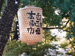 -苏州本色美术馆