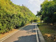 -贵阳市花溪国家城市湿地公园