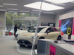 -上海浦东smart汽车全功能店(金桥店)