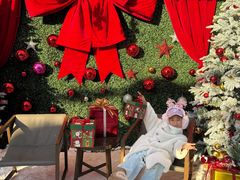 -哈尔滨波塞冬海底世界