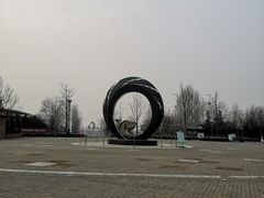 -大兴滨河森林公园