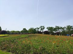 -秀丽东方