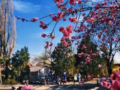 -国家植物园南园