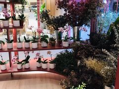 -二酉书店TOYOU BOOKS