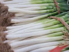 -金宝生活市场(东五环店)
