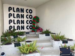 -PLAN CO