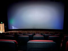 -悦江新远影城IMAX