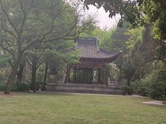 -汇龙潭