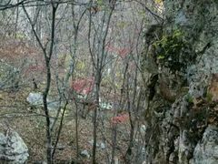 -大连天门山国家森林公园