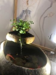 -溢美古法抗衰