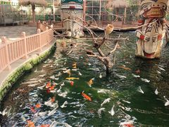 -南宫五洲植物乐园