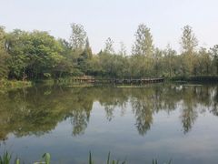 -溱湖国家湿地公园