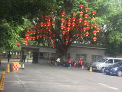 -晓港公园