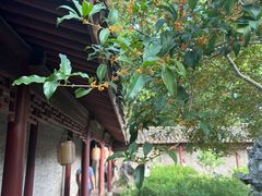 -天一阁博物院