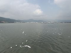 -海埂大坝