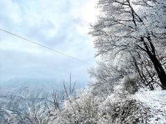 -抱龙峪