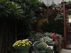 -漫渡庄绿岛花园•隐世庭园菜(滨湖店)