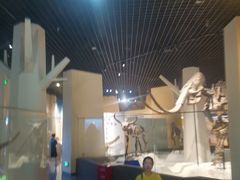 -国家自然博物馆