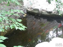 -北京上方山国家森林公园