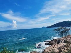 -广东惠东海龟国家级自然保护区