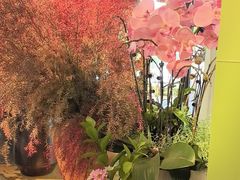 -春暖花开(西溪店)