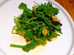 凉拌丝瓜芽-湖畔鲁菜·二十年老字号餐厅(大明湖店)