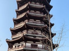 -洋湖国家湿地公园