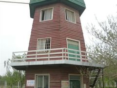 android_upload_pic-洛阳郁金香牡丹园