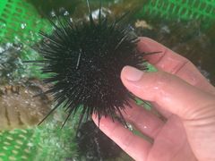 -后田海鲜餐厅(南澳香湖湾店)