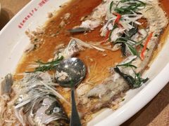 -丹江渔村(望京店)