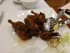 -帝皇楼