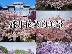 -石岛赤山风景区