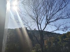 -上海佘山世茂艾美酒店